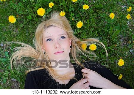 Lying on Yellow dandelion flowers blonde woman portrait View Large Photo Image Stock Image - Lying on Yellow dandelion flowers blonde woman portrait. Fotosearch