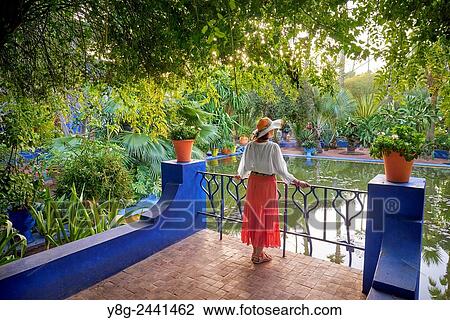 Majorelle Gardens in Marrakesh. Morocco. View Large Photo Image Stock Image - Majorelle Gardens in Marrakesh. Morocco.. Fotosearch