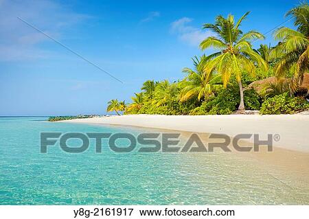 Maldives, Ari Atol, Indian Ocean. View Large Photo Image Stock Photo - Maldives, Ari Atol, Indian Ocean.. Fotosearch