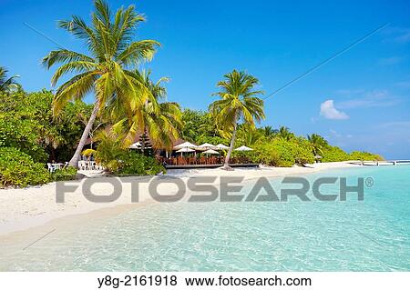 Maldives, Ari Atol, Indian Ocean. View Large Photo Image Stock Photo - Maldives, Ari Atol, Indian Ocean.. Fotosearch