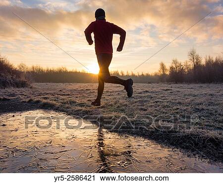 Man running at sunrise in Cowpen Woodland Park near Billingham on a frosty January morning. Billingham, north east England, United Kingdom, Europe. View Large Photo Image Stock Image - Man running at sunrise in Cowpen Woodland Park near Billingham on a frosty January morning. Billingham, north east England, United Kingdom, Europe.. Fotosearch