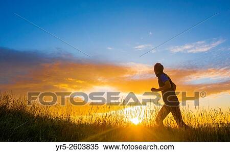 Mature man running in wildflower meadow at sunrise. Billingham, north east England, United Kingdom. View Large Photo Image Stock Photography - Mature man running in wildflower meadow at sunrise. Billingham, north east England, United Kingdom.. Fotosearch