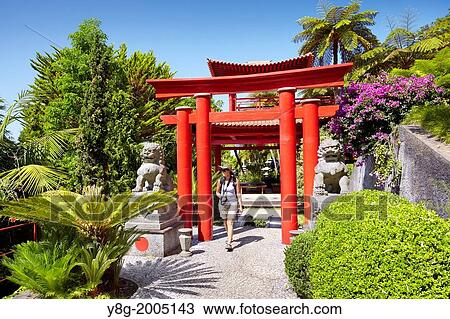 Monte Palace Tropical Garden (Japanese garden) - Monte, Madeira, Portugal. View Large Photo Image Stock Image - Monte Palace Tropical Garden (Japanese garden) - Monte, Madeira, Portugal.. Fotosearch