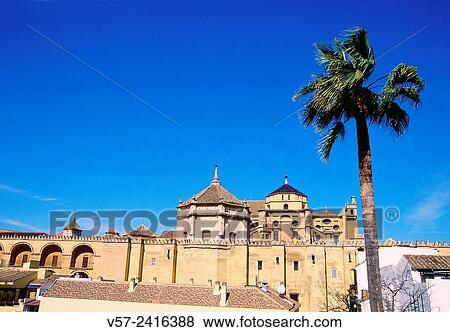 Mosque cathedral. Cordoba, Spain. View Large Photo Image Stock Photo - Mosque cathedral. Cordoba, Spain.. Fotosearch