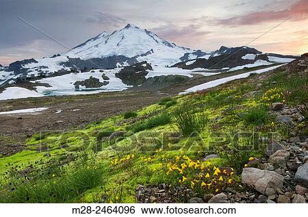 Stock Photograph - Mount Baker 10, 781 ft (3, 286 m), Mount Baker Wilderness Washington.. Fotosearch