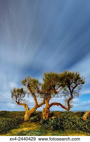 Noja cove, Cantabria, Spain. View Large Photo Image Stock Photo - Noja cove, Cantabria, Spain.. Fotosearch