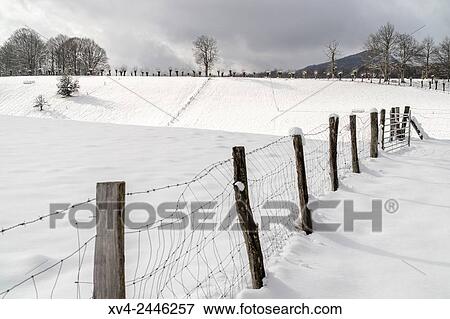 Orreaga Roncesvalles fenced snowed in winter. Navarre, Spain. View Large Photo Image Stock Photo - Orreaga Roncesvalles fenced snowed in winter. Navarre, Spain.. Fotosearch