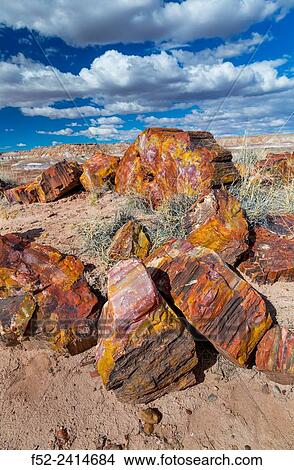 Petrified wood, Petrified Forest National Park, Arizona, USA, America. View Large Photo Image Picture - Petrified wood, Petrified Forest National Park, Arizona, USA, America.. Fotosearch