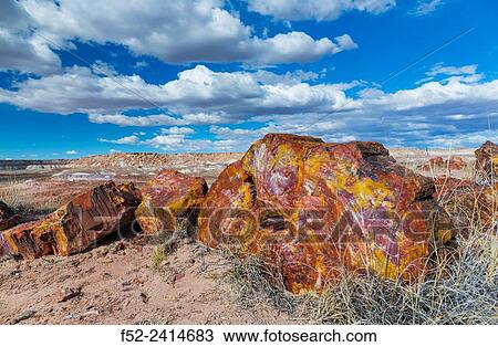 Petrified wood, Petrified Forest National Park, Arizona, USA, America. View Large Photo Image Stock Image - Petrified wood, Petrified Forest National Park, Arizona, USA, America.. Fotosearch