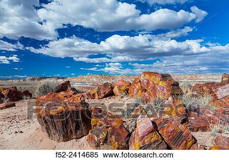 Petrified wood, Petrified Forest National Park, Arizona, USA, America. View Large Photo Image Stock Photography - Petrified wood, Petrified Forest National Park, Arizona, USA, America.. Fotosearch
