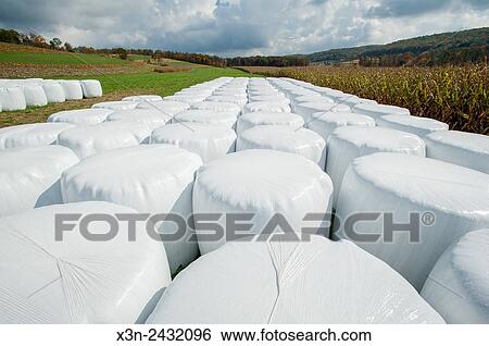 Plastic wrapped haylage in Millerstown, Pennsylvania, USA. View Large Photo Image Stock Photograph - Plastic wrapped haylage in Millerstown, Pennsylvania, USA.. Fotosearch