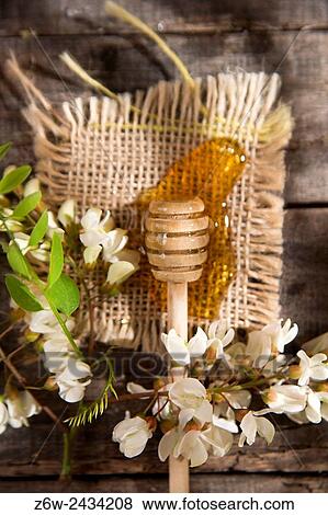 Stock Photo - Presentation of small wooden spoon with acacia honey with its flower.. Fotosearch