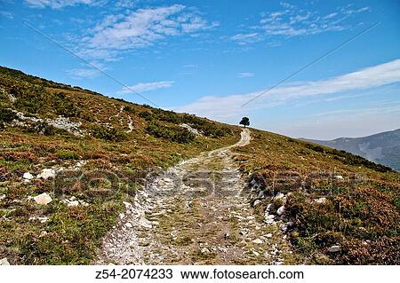 Primitive Saint James way, Puerto del Palo Asturias, Spain. View Large Photo Image Stock Image - Primitive Saint James way, Puerto del Palo Asturias, Spain.. Fotosearch