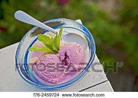 Raspberry Gelato (gelato is the Italian word for ice cream, derived from the Latin word gel. tus. meaning frozen) desert sitting in bowl with spoon and a garnish of mint leaf. View Large Photo Image Picture - Raspberry Gelato (gelato is the Italian word for ice cream, derived from the Latin word gel. tus. meaning frozen) desert sitting in bowl with spoon and a garnish of mint leaf.. Fotosearch