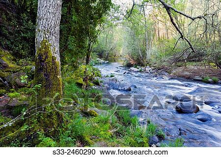 River landscape, Arenas de San Pedro, province of vila, Castile and Len, Spain View Large Photo Image Stock Image - River landscape, Arenas de San Pedro, province of vila, Castile and Len, Spain. Fotosearch
