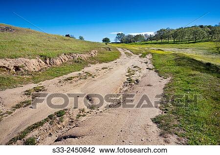 Road in the Dehesa. Higuera de las Due±as. Avila. Castile-Leon. Spain View Large Photo Image Stock Image - Road in the Dehesa. Higuera de las Due±as. Avila. Castile-Leon. Spain. Fotosearch