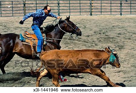 Rodeo in Redstone British Columbia Canada View Large Photo Image Stock Photograph - Rodeo in Redstone British Columbia Canada. Fotosearch