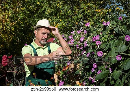 Stock Image - Russian Federation. Belgorod region. The village Solomino. The man in the autumn garden.. Fotosearch