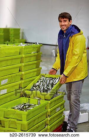 Sailor in the fishing port. Hondarribia. Gipuzkoa. Basque Country. Spain View Large Photo Image Stock Photo - Sailor in the fishing port. Hondarribia. Gipuzkoa. Basque Country. Spain. Fotosearch
