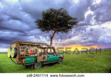 serengeti national park. View Large Photo Image Picture - serengeti national park.. Fotosearch
