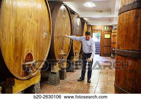 Sidreria Barkaiztegi, Cider house, Martutene, Donostia, San Sebastian, Gipuzkoa, Basque Country, Spain View Large Photo Image Stock Photograph - Sidreria Barkaiztegi, Cider house, Martutene, Donostia, San Sebastian, Gipuzkoa, Basque Country, Spain. Fotosearch