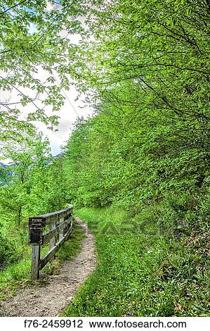 Stock Image - Sign with word Picnic directing foot traffic to a path going off into the forest in Franconia Notch in the White Mountains of New Hampshire at Boise Rock.. Fotosearch