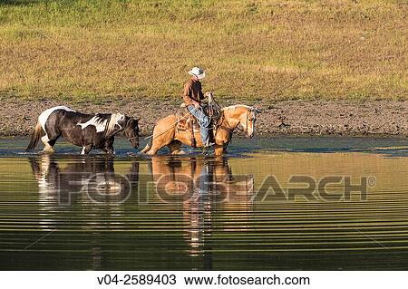 Stock Image - Single wrangler (Cowboy) on horse at a lake, California, USA. Fotosearch