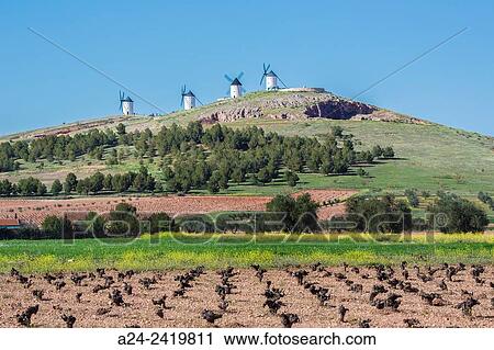 Spain, La Mancha region, campo de criptana area, Windmills. View Large Photo Image Stock Image - Spain, La Mancha region, campo de criptana area, Windmills.. Fotosearch
