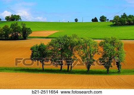 Spring near Beaumont, Gers, Midi-Pyrenees, France View Large Photo Image Picture - Spring near Beaumont, Gers, Midi-Pyrenees, France. Fotosearch