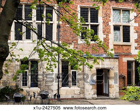 Stock Photography - Spring Tree in the Courtyard at The Kings Manor University of York Exhibition Square York Yorkshire England.. Fotosearch