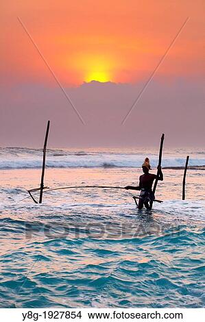 Sri Lanka - fisherman catches fish in a traditional way, Koggala Beach at sunset time, south part of Sri Lanka, Indian Ocean coast, Asia View Large Photo Image Picture - Sri Lanka - fisherman catches fish in a traditional way, Koggala Beach at sunset time, south part of Sri Lanka, Indian Ocean coast, Asia. Fotosearch