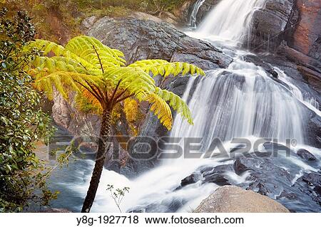 Sri Lanka - Horton Plain National Park protected area in Sri Lanka, landscape of Baker waterfall View Large Photo Image Stock Photo - Sri Lanka - Horton Plain National Park protected area in Sri Lanka, landscape of Baker waterfall. Fotosearch