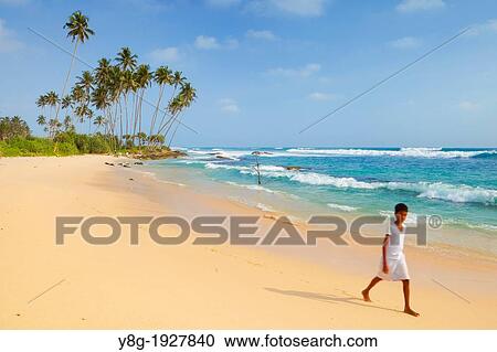 Sri Lanka - Koggala beach, village near Galle, Indian Ocean coast, Asia View Large Photo Image Stock Image - Sri Lanka - Koggala beach, village near Galle, Indian Ocean coast, Asia. Fotosearch
