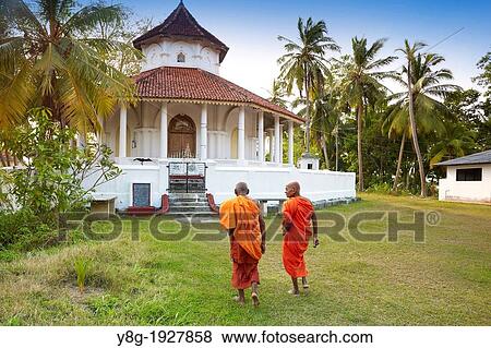 Sri Lanka – Monks going to the Nawamunise Purana Temple, Koggala, south part of Sri Lanka, Asia View Large Photo Image Stock Photo - Sri Lanka – Monks going to the Nawamunise Purana Temple, Koggala, south part of Sri Lanka, Asia. Fotosearch