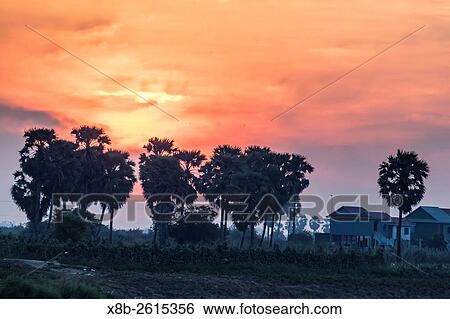 Sunset on the Tonle Sap River, Cambodia. View Large Photo Image Stock Photograph - Sunset on the Tonle Sap River, Cambodia.. Fotosearch