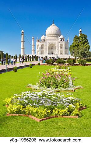 Taj Mahal and the Mughal gardens of the Taj Mahal, Agra, Uttar Pradesh, India. View Large Photo Image Stock Photograph - Taj Mahal and the Mughal gardens of the Taj Mahal, Agra, Uttar Pradesh, India.. Fotosearch