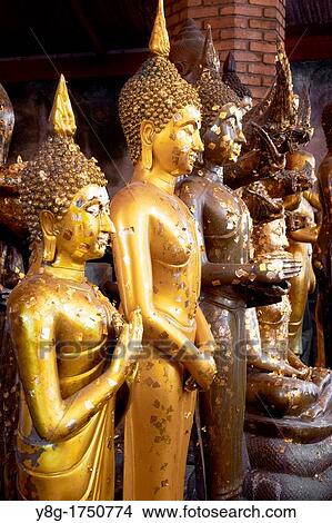 Thailand - Ayutthaya, Wat Yai Chaya Mongkol Temple, golden Buddha statues View Large Photo Image Picture - Thailand - Ayutthaya, Wat Yai Chaya Mongkol Temple, golden Buddha statues. Fotosearch