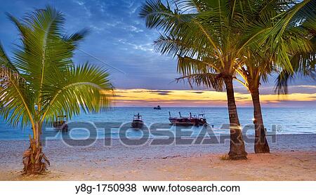 Thailand - Phi Phi Island, Phang Nga Bay, sunset seashore scenery View Large Photo Image Stock Photo - Thailand - Phi Phi Island, Phang Nga Bay, sunset seashore scenery. Fotosearch
