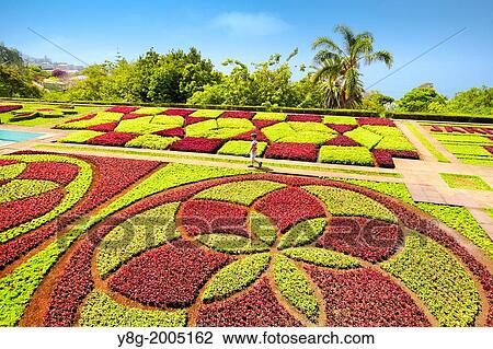 The Madeira Botanical Garden - Funchal, Madeira, Portugal. View Large Photo Image Stock Image - The Madeira Botanical Garden - Funchal, Madeira, Portugal.. Fotosearch