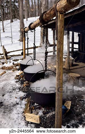 Three cast iron evaporator pots over open fire to produce maple syrup at a sugar shack. View Large Photo Image Picture - Three cast iron evaporator pots over open fire to produce maple syrup at a sugar shack.. Fotosearch