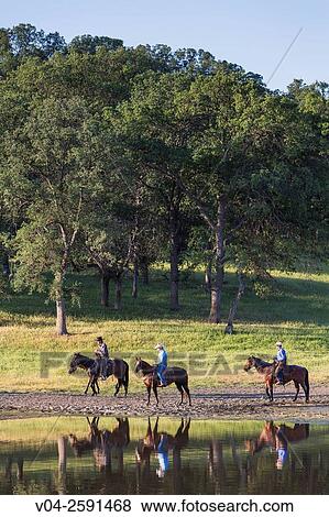 Stock Photo - Three wranglers (Cowboys) at a lake, California, USA. Fotosearch