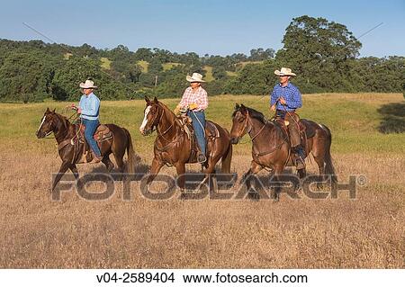 Picture - Three wranglers (Cowboys) on horse, California, USA. Fotosearch