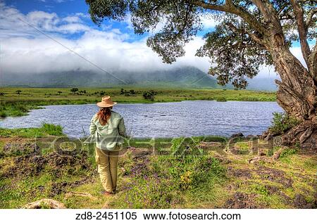 tourism in ngorongoro crater. tanzania. View Large Photo Image Stock Photography - tourism in ngorongoro crater. tanzania.. Fotosearch