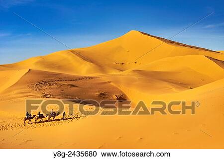 Tourists ride on camels, Erg Chebbi desert near Merzouga, Sahara, Morocco. View Large Photo Image Stock Image - Tourists ride on camels, Erg Chebbi desert near Merzouga, Sahara, Morocco.. Fotosearch