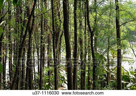 Travel View Large Photo Image Stock Image - Travel. Fotosearch