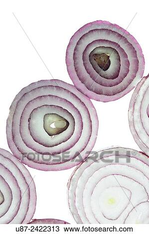 Tropea Red Onion Slice.. View Large Photo Image Stock Image - Tropea Red Onion Slice... Fotosearch