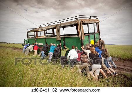 Stock Image - truck safari in serengeti national park.. Fotosearch