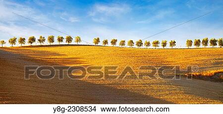 Tuscany landscape, Val d? Orcia, Tuscany, Italy. View Large Photo Image Picture - Tuscany landscape, Val d? Orcia, Tuscany, Italy.. Fotosearch