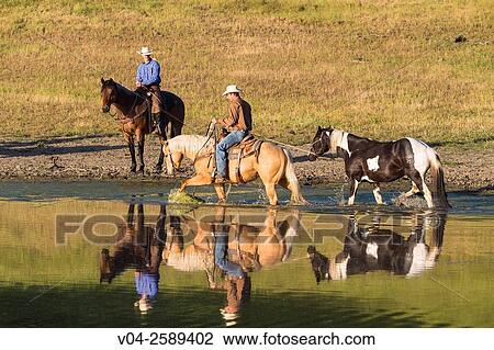 Stock Image - Two wranglers (Cowboy) on horses at a lake, California, USA. Fotosearch