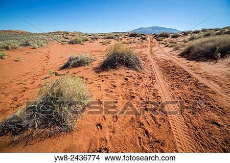 Picture - Unpaved road by Wolwedans Dune Lodge, Namibia, Africa.. Fotosearch